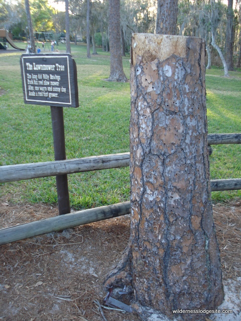 Lawnmower Tree
